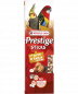 Preview: Versele-Laga Sticks Großsittiche Nüsse & Rosinen 2 Stück 60 g