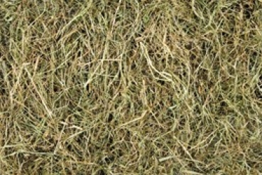 Versele-Laga Heu 1 kg