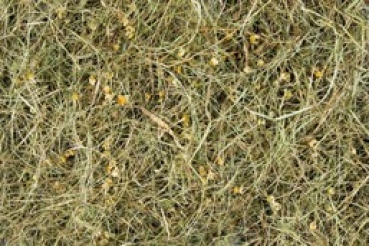 Versele-Laga Bergwiesenheu Kamille 500 g