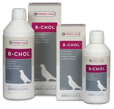 Versele-Laga Oropharma B-Chol 500 ml