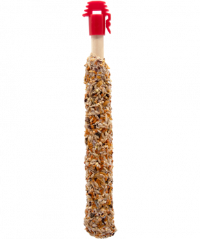 Versele-Laga Sticks Kanarien Früchte & Löwenzahn 2 Stück 60 g