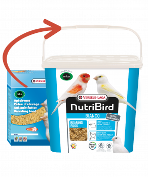 Versele-Laga Nutribird Aufzuchtfutter Bianco Umstellung