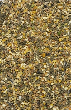 Versele-Laga Country's Best Gold 4 Mix 20 kg