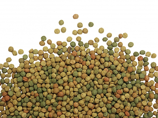 Versele-Laga Success-Corn I.C. 3 kg