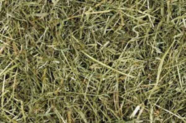 Versele-Laga Bergwiesenheu Kräuter 500 g