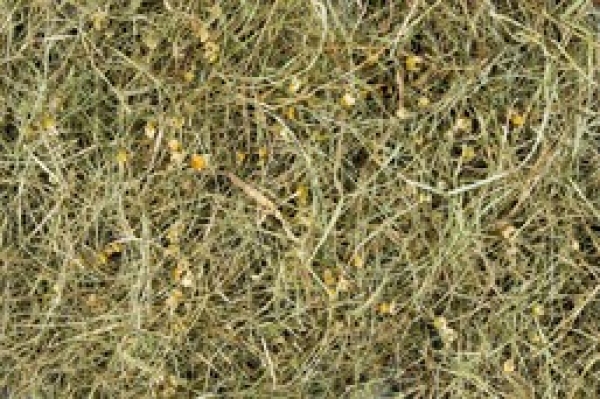 Versele-Laga Bergwiesenheu Kamille 500 g