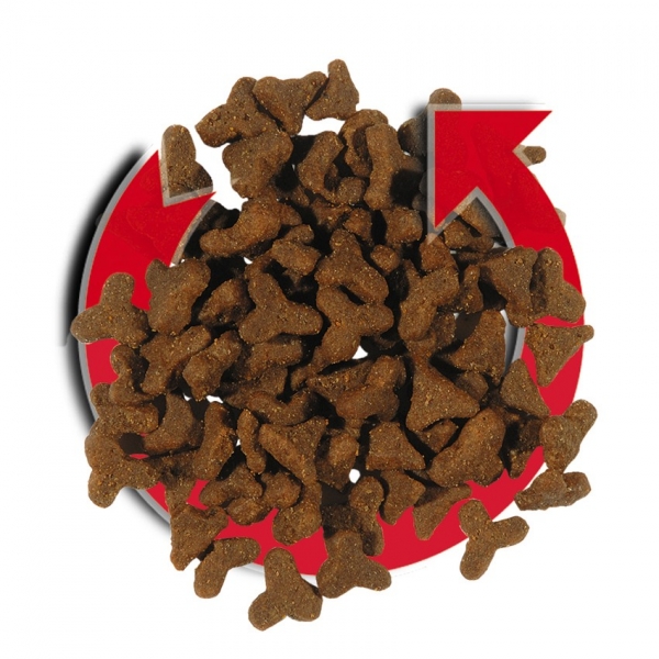 Versele-Laga Ferret Complete 10 kg