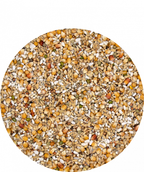 Versele-Laga Gerry Plus 20 kg Futter