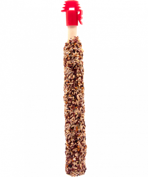 Versele-Laga Sticks Kanarien rote Früchte & Minze 2 Stück 60 g