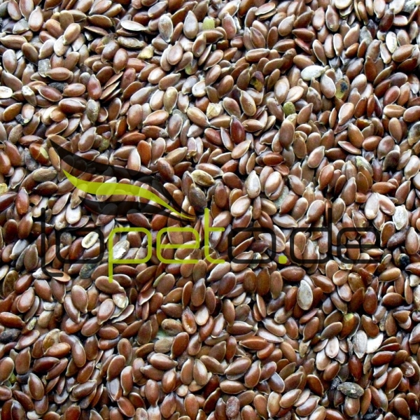 Leinsamen