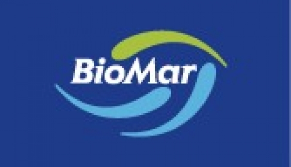 Biomar Forellenfutter EFICO Alpha 756 4,5 mm 20 kg