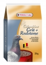 Versele-Laga Grit + Rotstein 20 kg