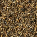 Versele-Laga Orlux Insect Patee 20 kg