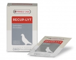 Versele-Laga Oropharma Recup-Lyt 240 g