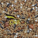 Versele-Laga Großsittiche Prestige 20 kg