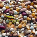 Versele-Laga Papageien Dinner Mix Prestige 20 kg