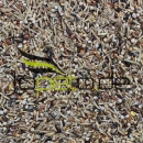 Versele-Laga Zeisig Extra Prestige 15 kg